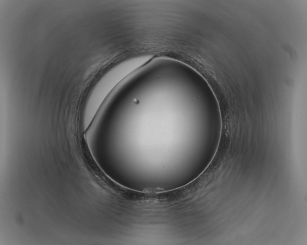 X0000113930740200909251219