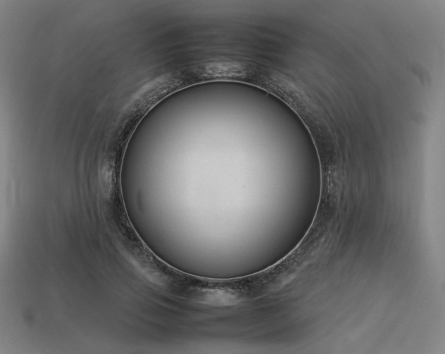 X0000113930741200909251219