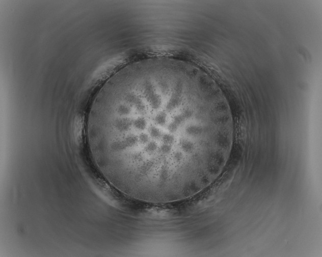 X0000113930742200909251219