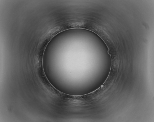 X0000113930743200909251219