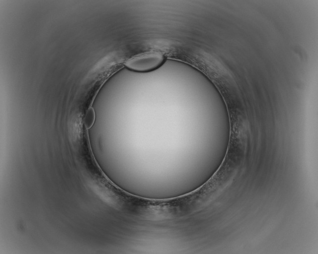 X0000113930744200909251219