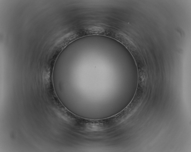 X0000113930745200909251219