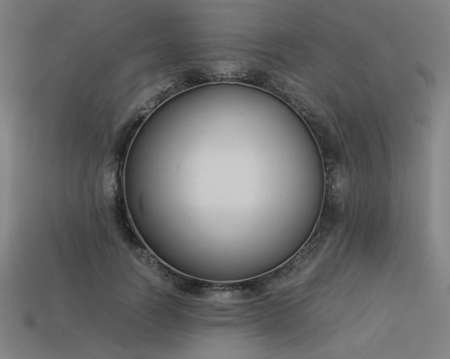 X0000113930746200909251219