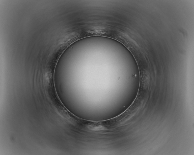 X0000113930747200909251219