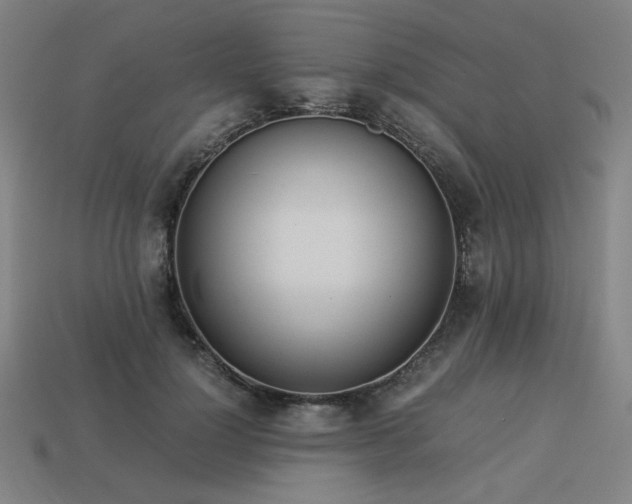 X0000113930748200909251219