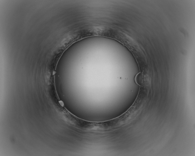 X0000113930750200909251219