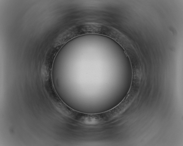 X0000113930751200909251219