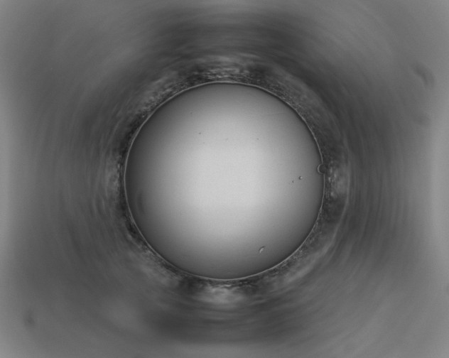 X0000113930753200909251219