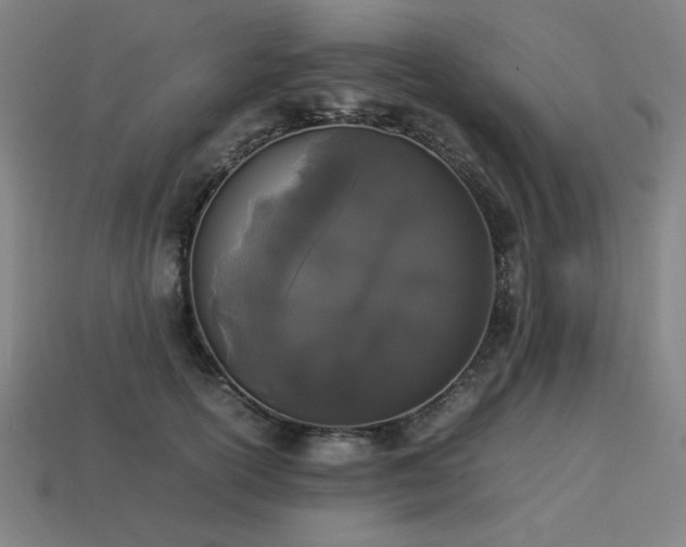 X0000113930754200909251219