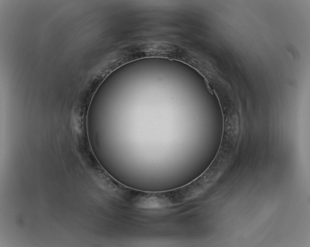 X0000113930755200909251219