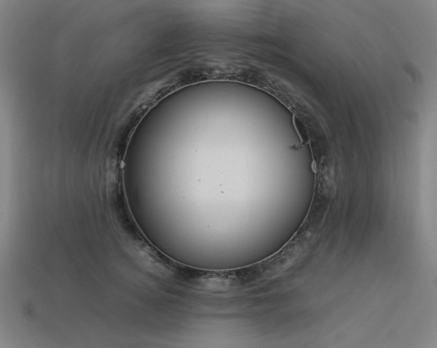 X0000113930756200909251219