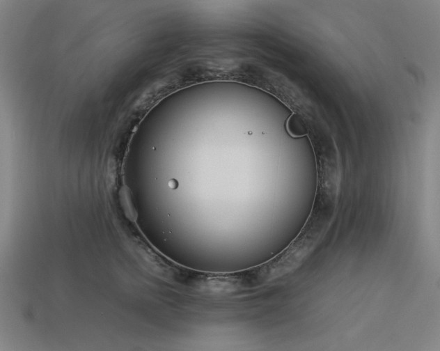 X0000113930758200909251219