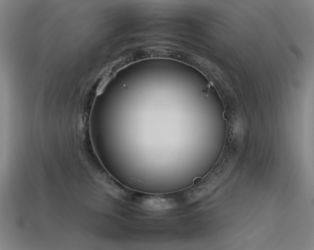 X0000113930759200909251219