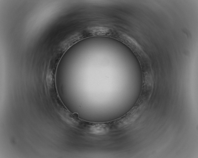 X0000113930761200909251219