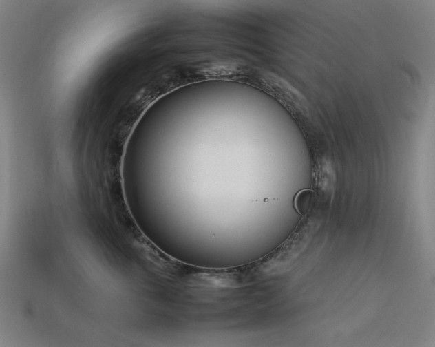 X0000113930763200909251219