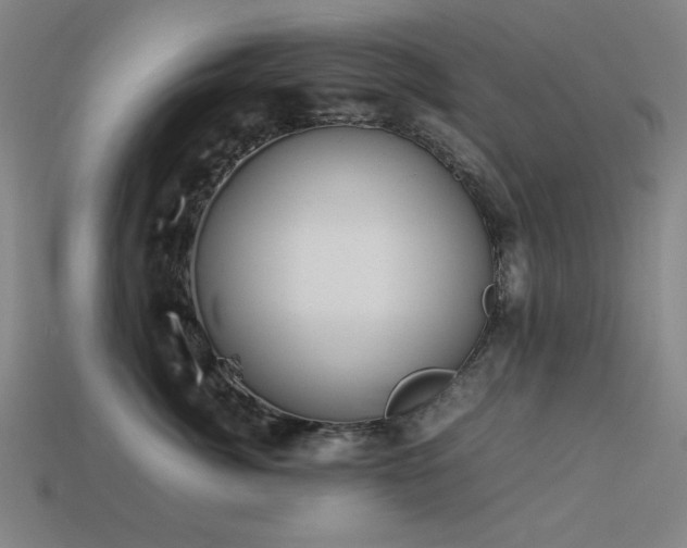 X0000113930764200909251219