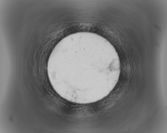 X0000113930769200909251218
