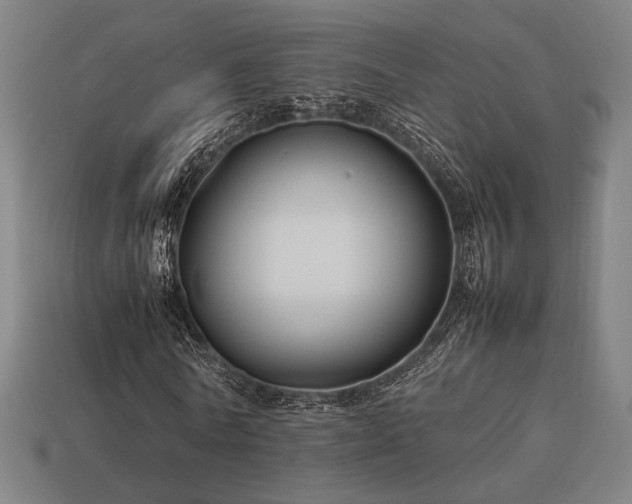 X0000113930770200909251218