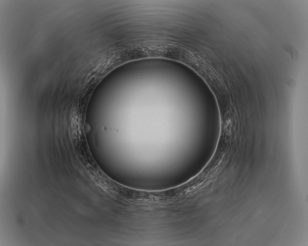 X0000113930772200909251218