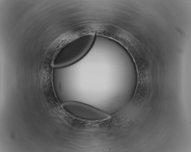 X0000113930773200909251218