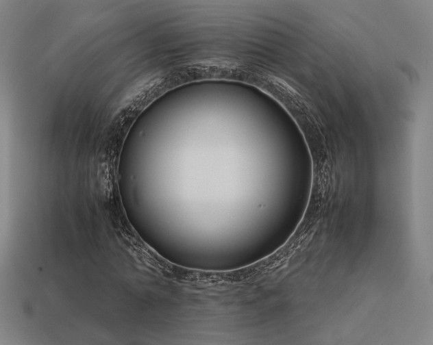 X0000113930774200909251218