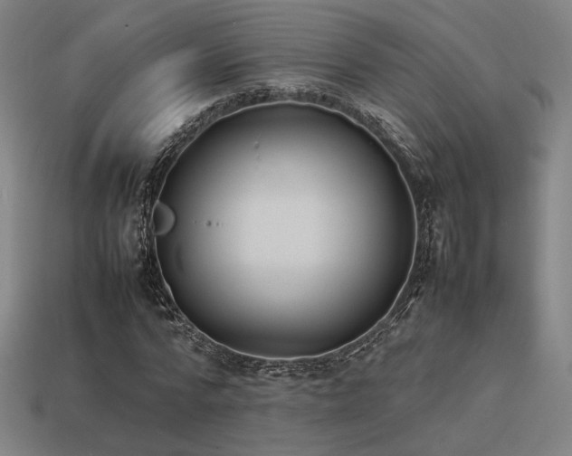 X0000113930776200909251218
