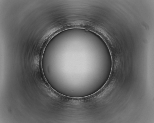 X0000113930778200909251218
