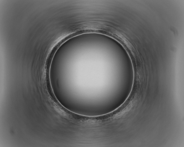 X0000113930779200909251218