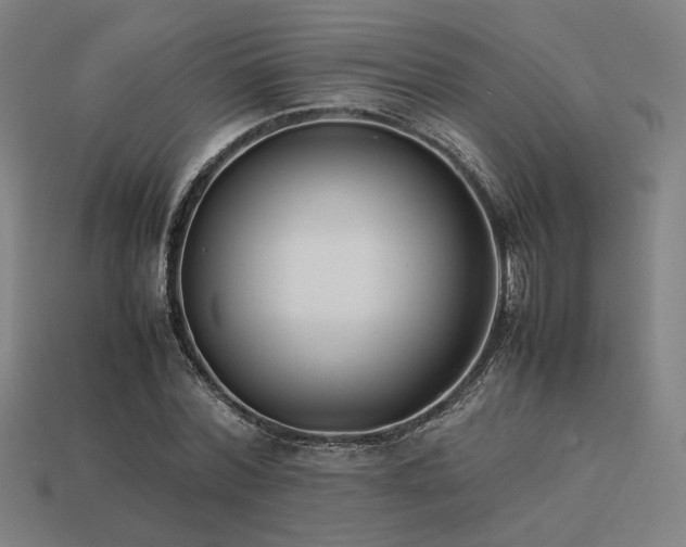 X0000113930780200909251218