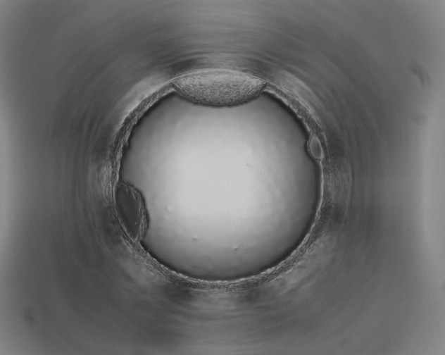X0000113930781200909251218