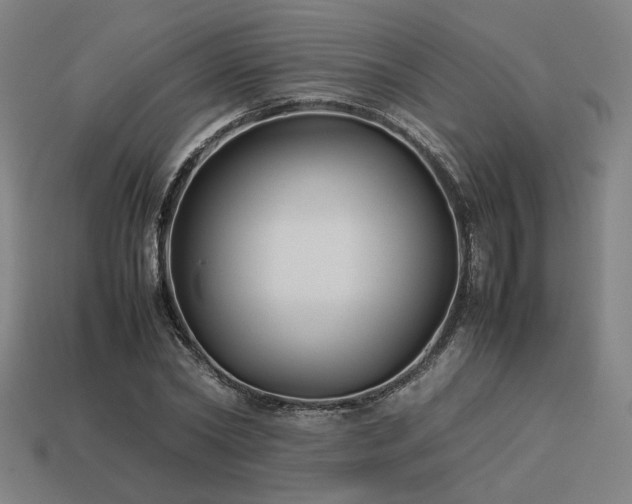 X0000113930782200909251218