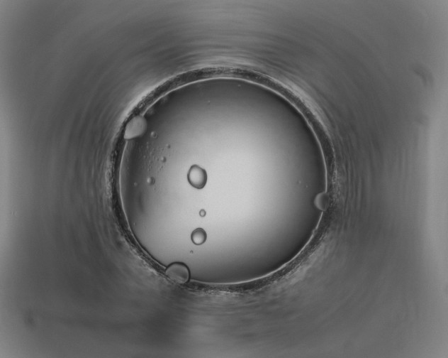 X0000113930783200909251218