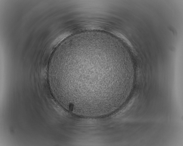X0000113930785200909251218