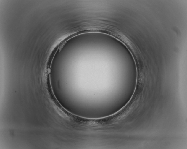 X0000113930787200909251218