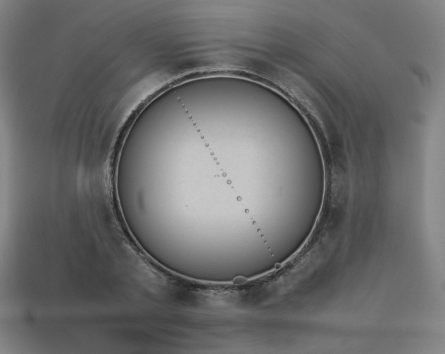 X0000113930789200909251218