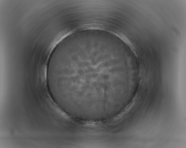X0000113930790200909251218