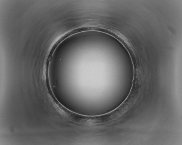 X0000113930791200909251218