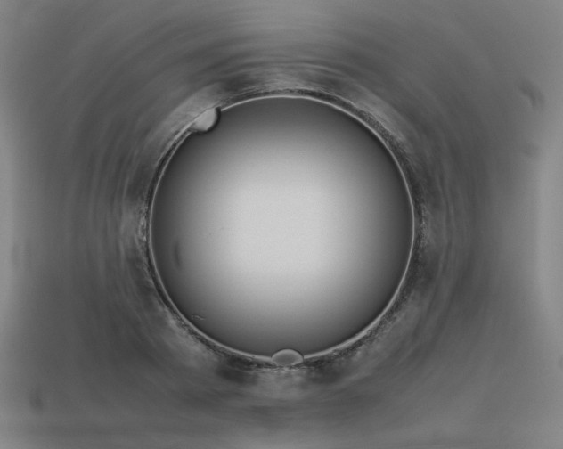 X0000113930793200909251218