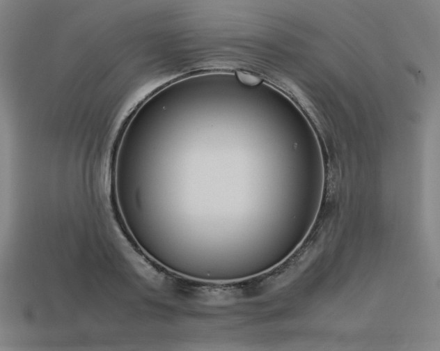 X0000113930795200909251218