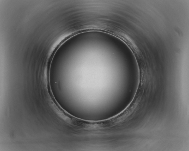 X0000113930796200909251218