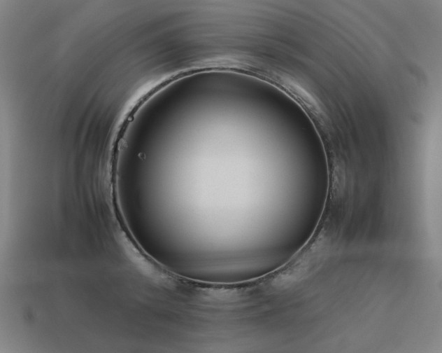 X0000113930800200909251218