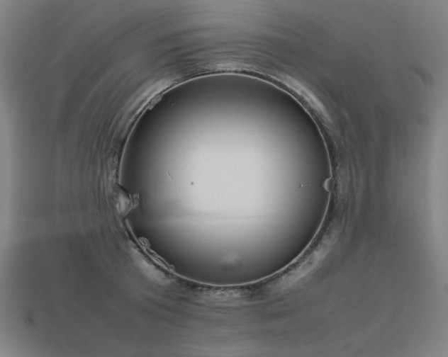 X0000113930801200909251218
