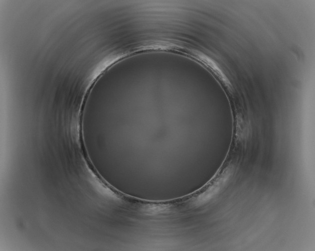 X0000113930802200909251218