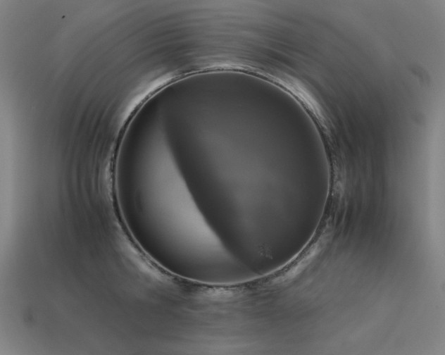 X0000113930806200909251218