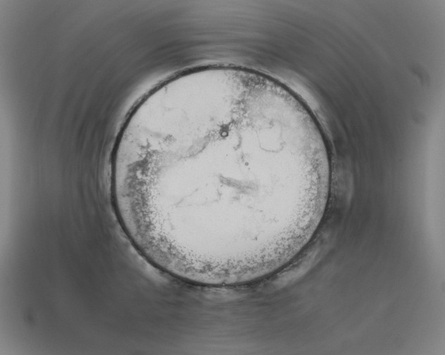 X0000113930807200909251218