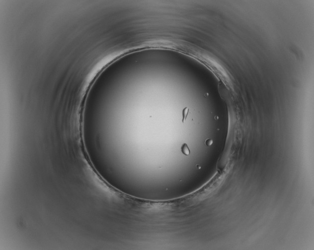 X0000113930808200909251218