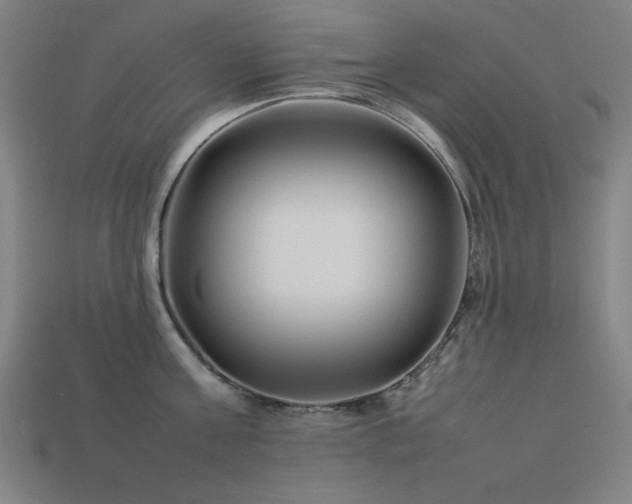 X0000113930811200909251218
