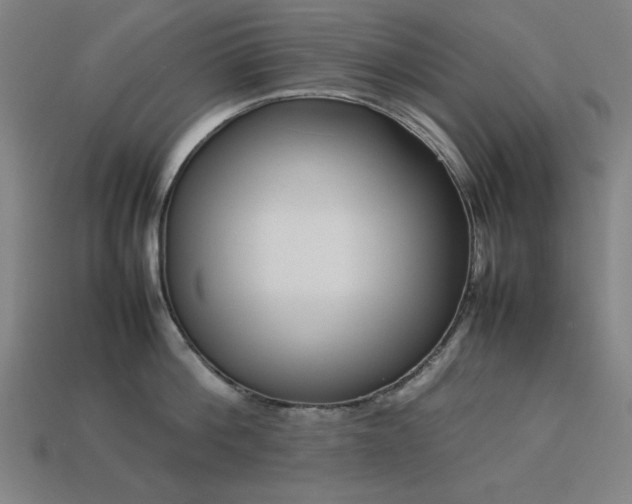 X0000113930812200909251218