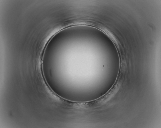 X0000113930813200909251218