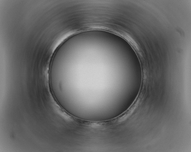 X0000113930814200909251218